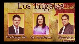 El buen pastor_los trigales