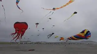 2021 Kite festival a