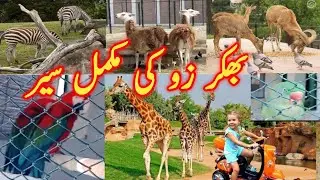 Visit mini zoo bhakkar ll History of Bhakkar ll DM STUDIO BHAKKAR