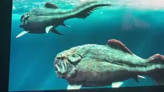 Dunkleosteus animation