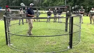 Single drop corral trap