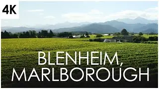 Summer in Blenheim, Marlborough, New Zealand | 4K 2023 Drone Stock Footage