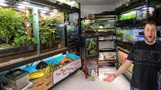 HUGE REPTILE ROOM TOUR!! | February 2020