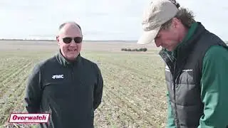 Herbicide and crop rotation critical for ryegrass control