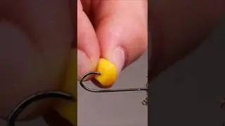 Montiranje kukuruza na udicu. How to put corn on hook. #shorts #pecanje #fishing #lifehacks