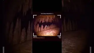 Cave Crawler 🔴Wishlist on Steam!🔴