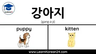 Pets In Korean | Korean Vocabulary Practice Exercise