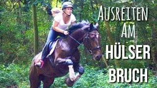 RAWS - Ausreiten im H&uuml;lser Bruch