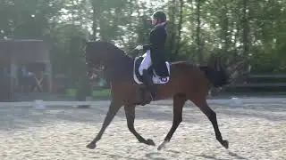 Wipsy & Charlotte Van Den Bergh