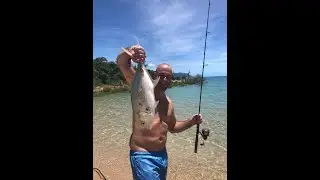 Dingo beach boat and fishing