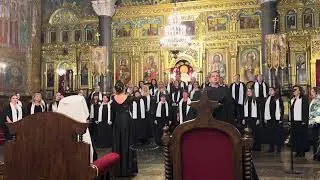 Совет превечний, Чесноков