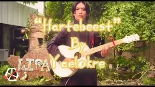 Hartebeest by Yaelokre, an acoustic cover