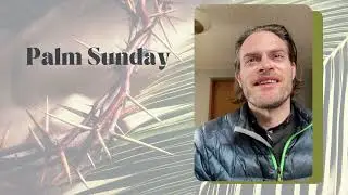 Palm Sunday Reflection - Fr Colin Parrish