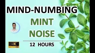 Mind-numbing Mint Noise (12 Hours) BLACK SCREEN - Study, Sleep, Tinnitus Relief and Focus