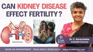 Can Kidney Disease Effect Fertility ? || Infertility || Dr C Suvarchalaa || ZIVA Fertilityy