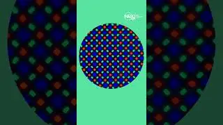 The SECRET😱 life of RGB micro pixels (phone AMOLED display)🤩: under the MICROSCOPE!🧐