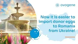 Now it is easier to import donor eggs to Romania from Ukraine!