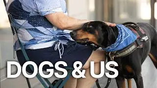 Dogs & Us: The Secret of a Friendship | Unlocking the Bond Between Humans and Dogs