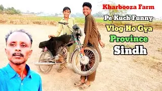 My New Vlog Kharbooza Farm Ki Visit Province in Sindh Near Badin