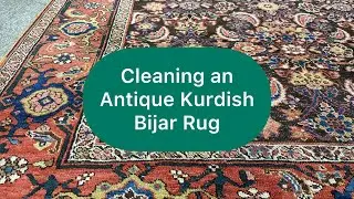 Cleaning an Antique Kurdish Bijar Rug (150 YEARS OLD!) #asmr #rugcleaning #kurdish