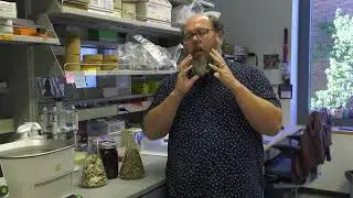 More than button and baby bella mushrooms | Prof. Joshua Kellogg