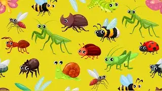 Bugs Names | Insects and Bugs Names for Kids  🐞🕷️ | Preschool Kids Learn, Insect Learning | Bugs