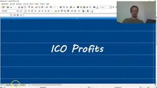 ICO Profits FUD AMA HODL WHALES Bagholders