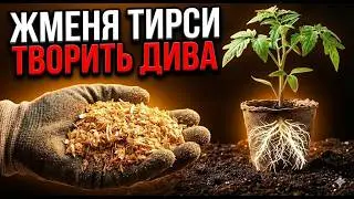 Якби я знав цей СЕКРЕТ 10 років тому! Перетворіть ТИРСУ на ЧИСТЕ ЗОЛОТО!