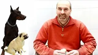 Jak spr&aacute;vně vychov&aacute;vat psa? Rad&iacute; kynolog Jiř&iacute; &Scaron;čučka