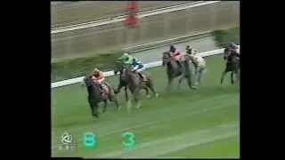 93/94 至今唯一三冠馬王