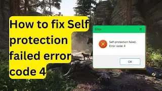 How to fix Self protection failed error code 4