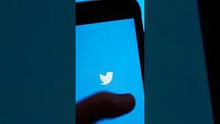 RIP Twitter, RIP to The Bird #shorts #twitter #bird #rip