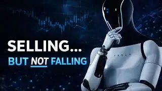 TSLA Update: Hidden Buyers Absorb Selling as Tesla Holds Firm