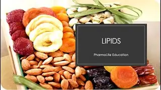 Classification of lipids