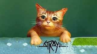 Stray FULL GAMEPLAY