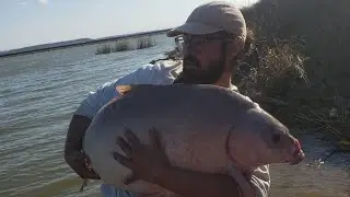 TROPHY SIZED SMALLMOUTH BUFFALO 🏆🐃 🐟  #fishing #fishingcommunity #yotubeshorts 