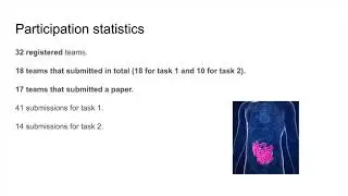 Medico Multimedia Task at MediaEval 2020: Automatic Polyp Segmentation