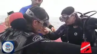 CPTAO JUCE divers