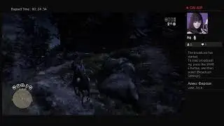 Red dead online a way to get Arthurs Morgan hat