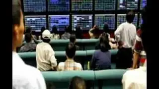 Penny Stock Egghead forex trading platform|Nathan Gold Penny Stock Egghead|Forex Trading Signals