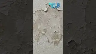 3 leak sympoms #technoleakdetection #zeroleakage #pune #monsoonready #mumbai #nomoreleaks #thane