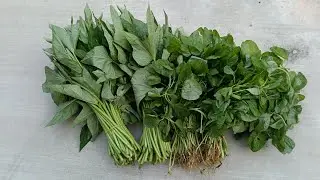 Sáng Đi Chợ Mua Rau Về Lặt