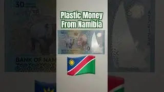 🇳🇦Beautiful Banknote from Namibia! #money #currency #educationalvideo #shorts  #economics #africa
