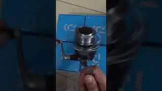 Daiwa Strikeforce 2500b