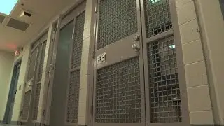 How much is a an inmate&rsquo;s healthcare costing you?