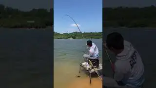 I caught the big carp🐟 Pond fishing🎣 Best fishing video #shorts #fishing