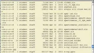 Remove Files From AnArchive using rm -R (Remove Recursively)