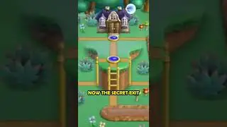 Mario Bros. Wii's Warp Cannons are BROKEN