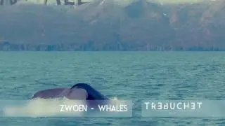 Zwoen - Whales