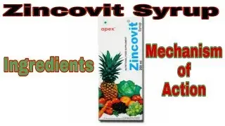 Zincovit Syrup|Food and Nutritional Supplements|Ingredients|Mechanism of Action